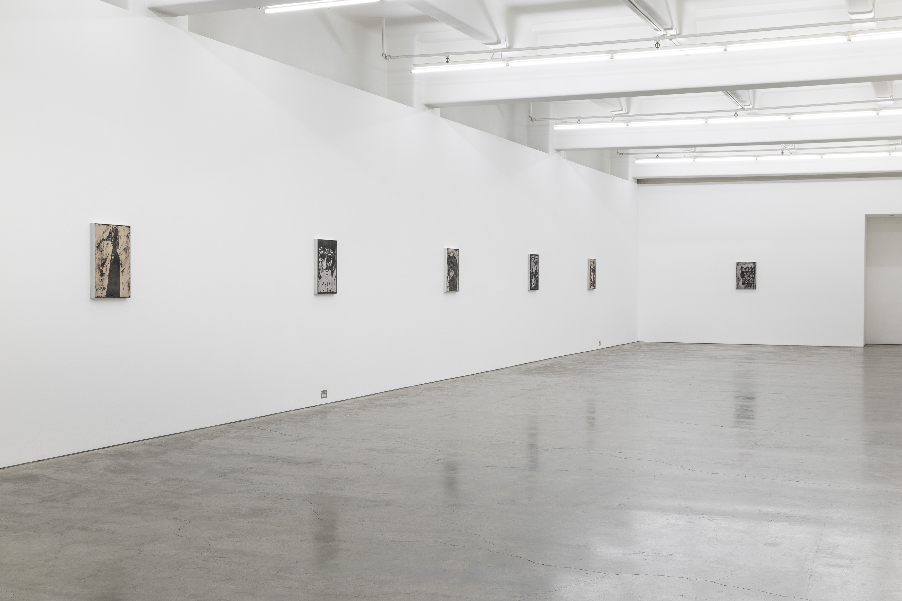 David Noonan | Anna Schwartz Gallery