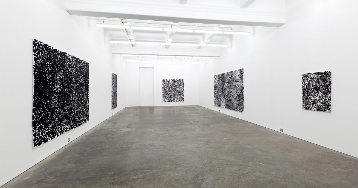 Artists | Anna Schwartz Gallery