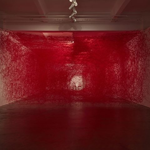 Chiharu Shiota | Anna Schwartz Gallery